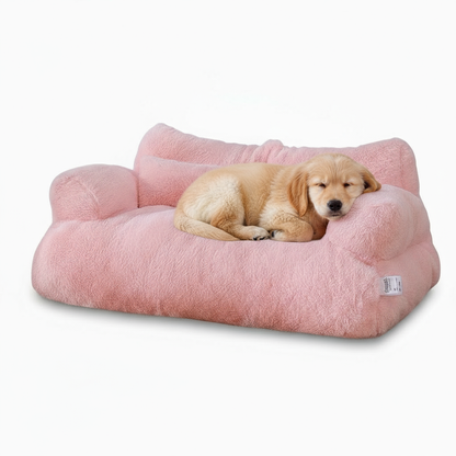 Pet on pink bed
